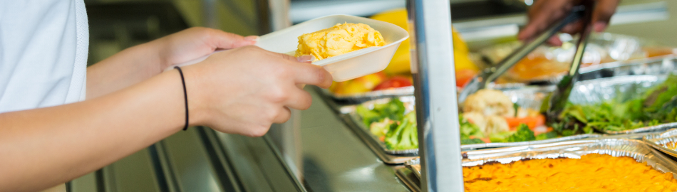  Food and Nutrition Free and Reduced Price Meal